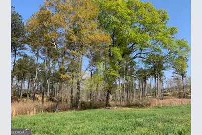 0 Veterans Drive, Danielsville, GA 30633 - Photo 33