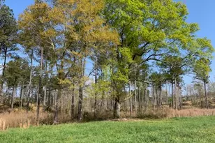 0 Veterans Dr, Danielsville, GA 30633 - Photo 33