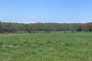 0 Veterans Dr, Danielsville, GA 30633 - Photo 25