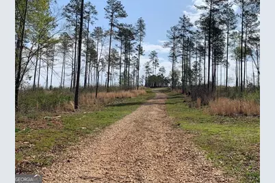 0 Veterans Drive, Danielsville, GA 30633 - Photo 23