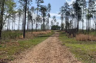 0 Veterans Dr, Danielsville, GA 30633 - Photo 23