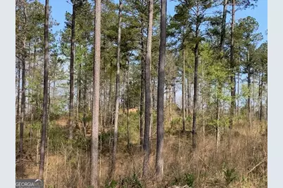 0 Veterans Drive, Danielsville, GA 30633 - Photo 7
