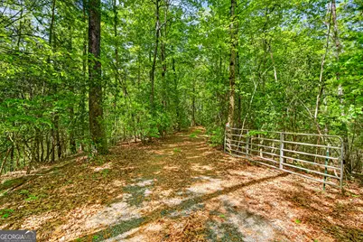 1171 Dogwood Lane, Mineral Bluff, GA 30559 - Photo 41