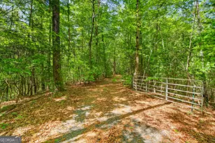 1171 Dogwood Ln, Mineral Bluff, GA 30559 - Photo 41