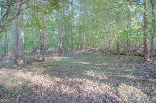 35 Kitchen Way W, Dahlonega, GA 30533 - Photo 55