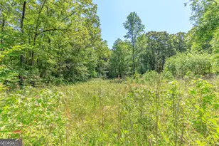669 Chandler Rd, Chickamauga, GA 30707 - Photo 95