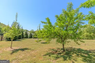 669 Chandler Rd, Chickamauga, GA 30707 - Photo 87