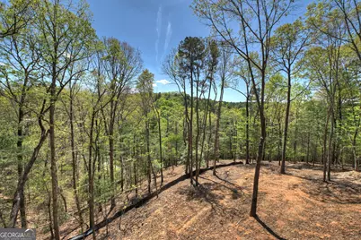 394 Blackberry Circle, Ellijay, GA 30536 - Photo 9