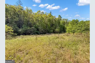 80 Acres Valley Lake Road, Mineral Bluff, GA 30559 - Photo 51