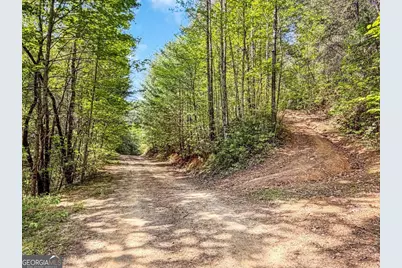80 Acres Valley Lake Road, Mineral Bluff, GA 30559 - Photo 5