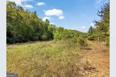 80 Acres Valley Lake Road, Mineral Bluff, GA 30559 - Photo 57