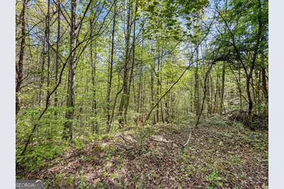 80 Acres Valley Lake Road, Mineral Bluff, GA 30559 - Photo 21
