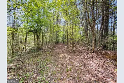 80 Acres Valley Lake Road, Mineral Bluff, GA 30559 - Photo 13