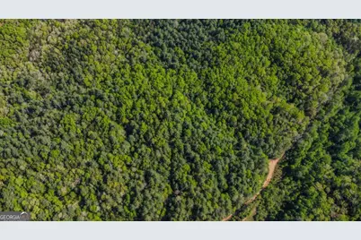 80 Acres Valley Lake Road, Mineral Bluff, GA 30559 - Photo 31
