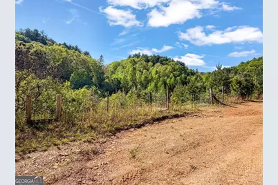 80 Acres Valley Lake Road, Mineral Bluff, GA 30559 - Photo 15