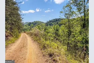 80 Acres Valley Lake Road, Mineral Bluff, GA 30559 - Photo 19