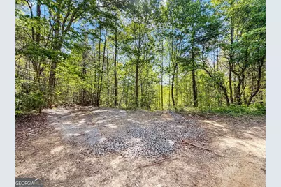 80 Acres Valley Lake Road, Mineral Bluff, GA 30559 - Photo 27