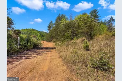 80 Acres Valley Lake Road, Mineral Bluff, GA 30559 - Photo 23