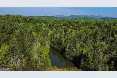80 Acres Valley Lake Road, Mineral Bluff, GA 30559 - Photo 53