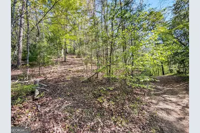 80 Acres Valley Lake Road, Mineral Bluff, GA 30559 - Photo 17