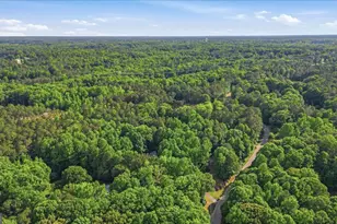 265 Floyd Rd, Hampton, GA 30228 - Photo 57