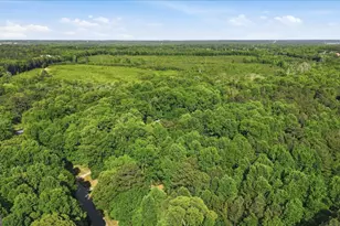 265 Floyd Rd, Hampton, GA 30228 - Photo 61
