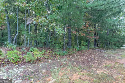 0 Zeppelin Strasse, Helen, GA 30545 - Photo 5