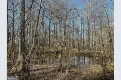 1298 Days Avenue, Morris, GA 39867 - Photo 3