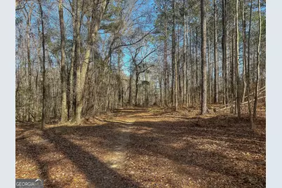 1298 Days Avenue, Morris, GA 39867 - Photo 5
