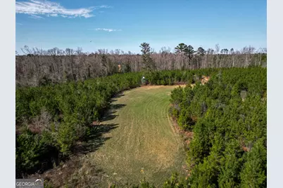 1298 Days Avenue, Morris, GA 39867 - Photo 15