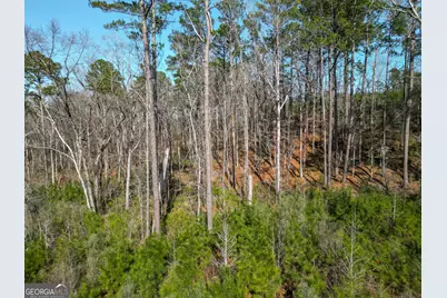 1298 Days Avenue, Morris, GA 39867 - Photo 7