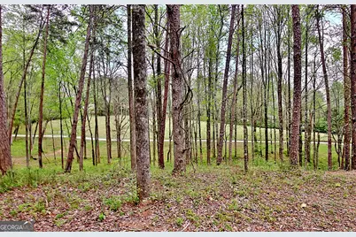 5855 Tony Peck Road, Murrayville, GA 30564 - Photo 73