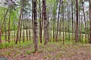 5855 Tony Peck Rd, Murrayville, GA 30564 - Photo 73