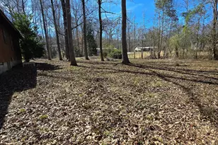 166 Lakeshore Dr N, Ivey, GA 31031 - Photo 25