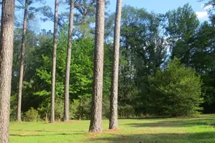 445 Southside Dr, Lyons, GA 30436 - Photo 23