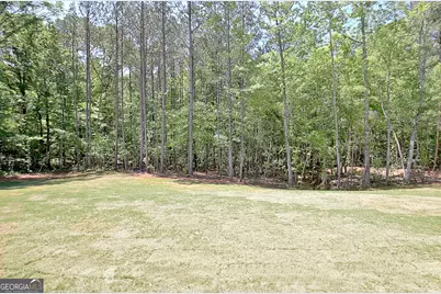 600 Eastside School Road, Senoia, GA 30276 - Photo 91