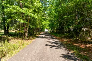 600 Eastside School Rd, Senoia, GA 30276 - Photo 93