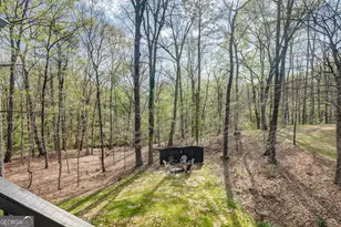 310 Rock Hill Dr, Fayetteville, GA 30215 - Photo 39