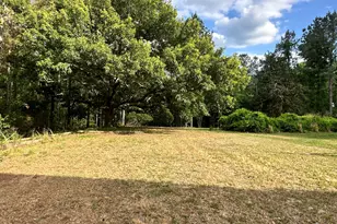 2131 Winchester Rd, Sylvania, GA 30467 - Photo 53