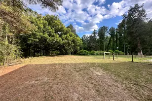 2131 Winchester Rd, Sylvania, GA 30467 - Photo 47