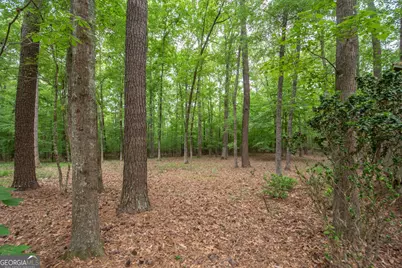 215 Nix Court, Fayetteville, GA 30214 - Photo 45