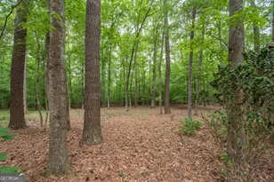 215 Nix Ct, Fayetteville, GA 30214 - Photo 45