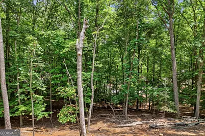 1883 Newport Drive #1868, Ellijay, GA 30540 - Photo 29