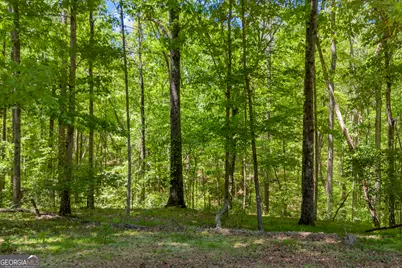 1312 Stonemont Road, Auburn, GA 30011 - Photo 49