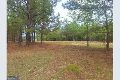 0 Cv Mosley Boulevard, Lyons, GA 30436 - Photo 11