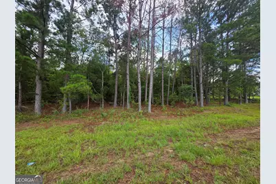 0 Cv Mosley Boulevard, Lyons, GA 30436 - Photo 7