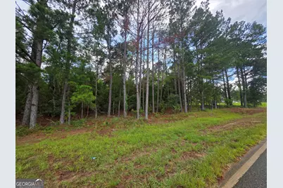 0 Cv Mosley Boulevard, Lyons, GA 30436 - Photo 9