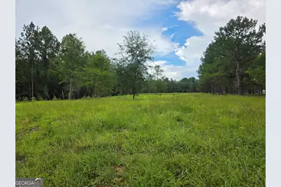 0 Cv Mosley Boulevard, Lyons, GA 30436 - Photo 1