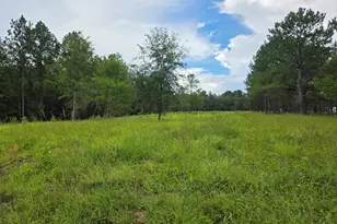 0 Cv Mosley Blvd, Lyons, GA 30436 - Photo 1