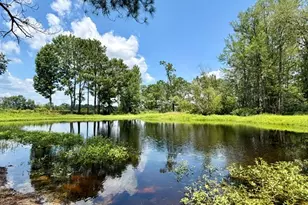 4338 Union Rd, Metter, GA 30439 - Photo 29